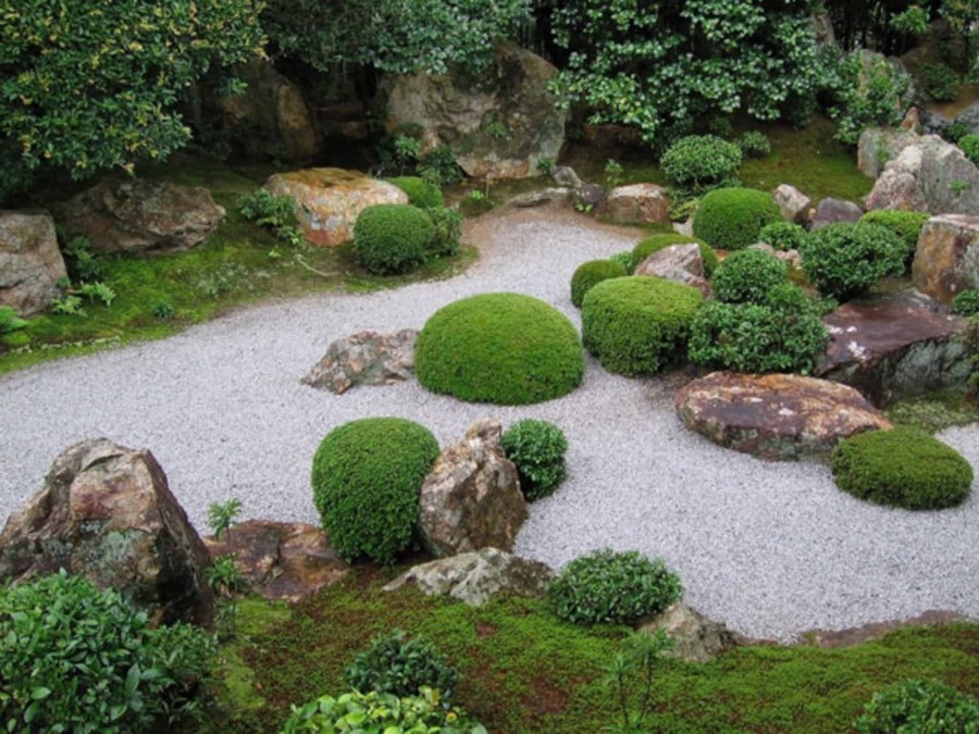 Рокарий гравийный сад