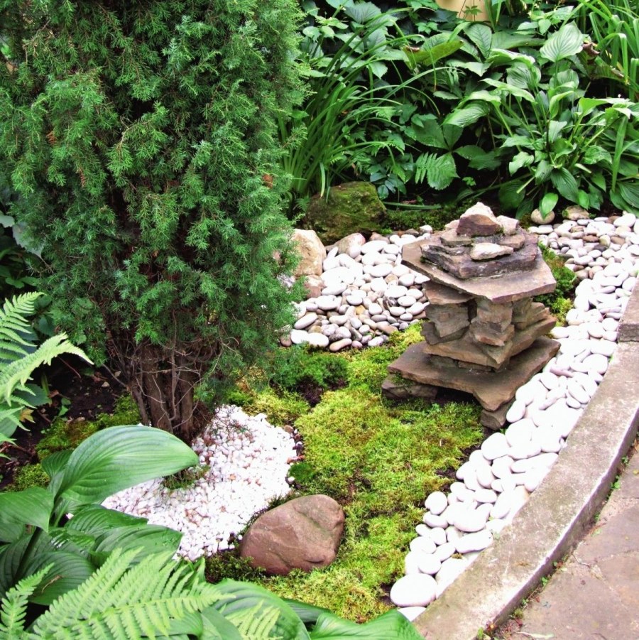 Сад мхов и камней