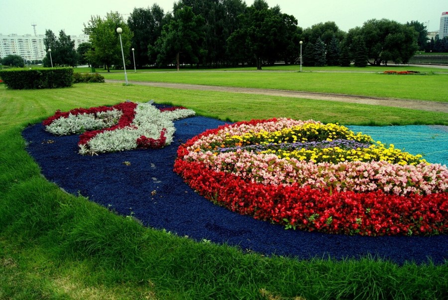 Декоративный цветник