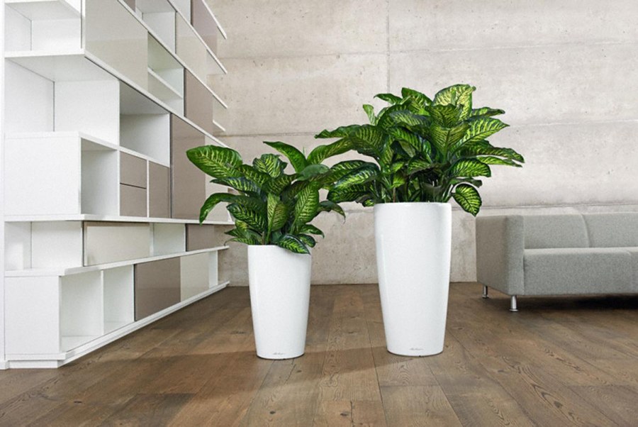 Кашпо Lechuza Рондо