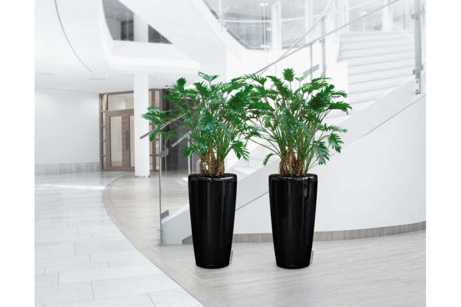 Кашпо Лечуза Рондо черное