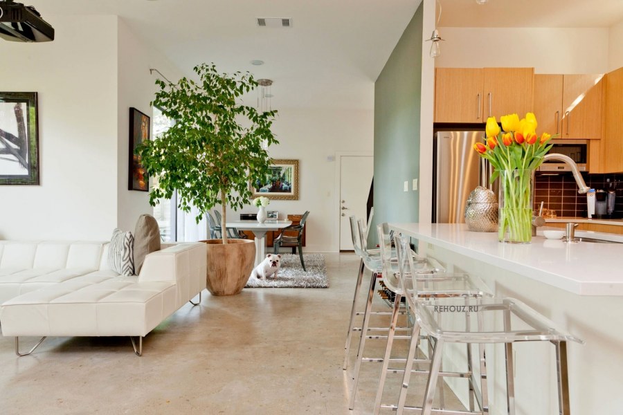 Фикус в интерьере гостиной