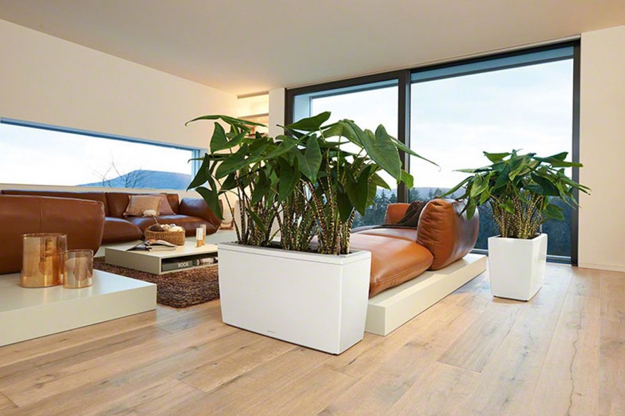 Кашпо Lechuza Cararo