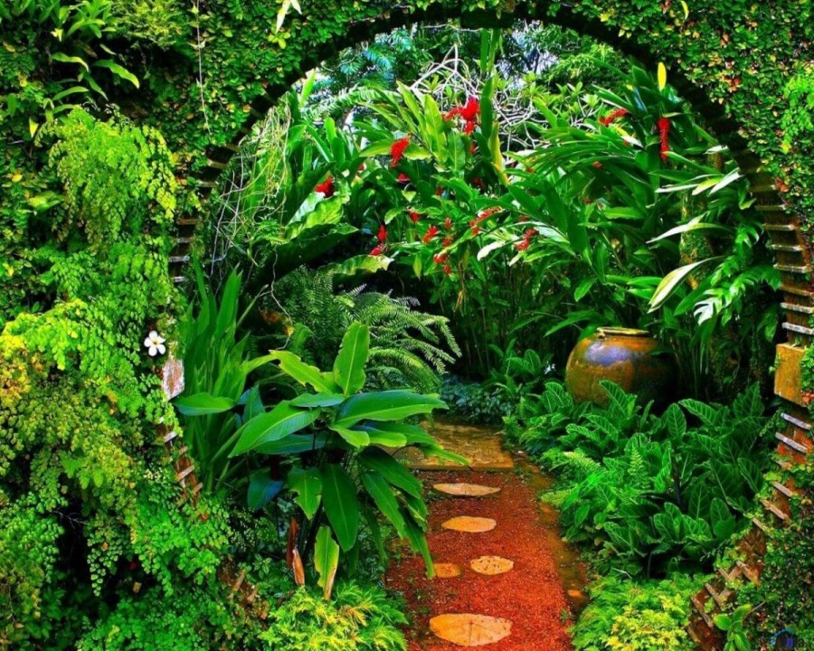 Японский сад папоротников