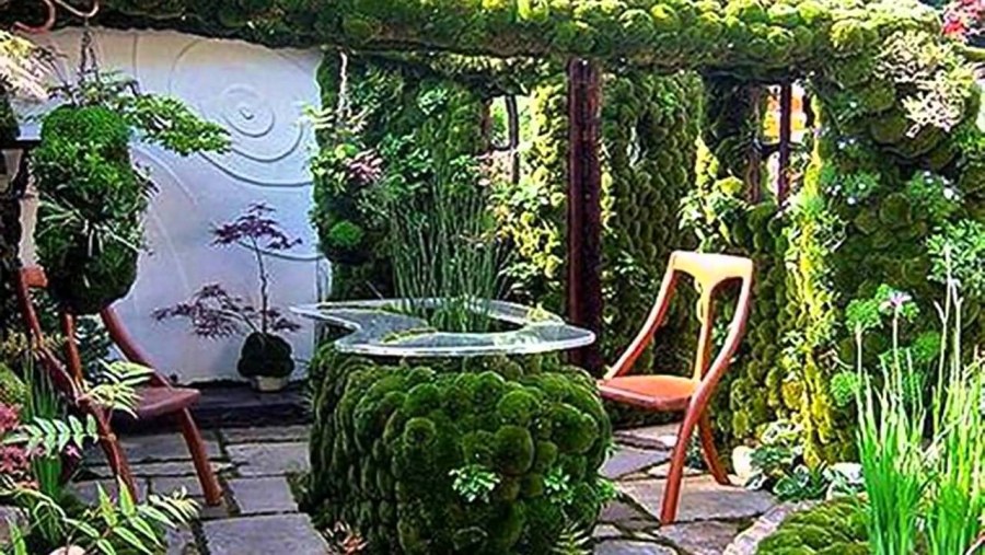 Зеленый уголок в саду