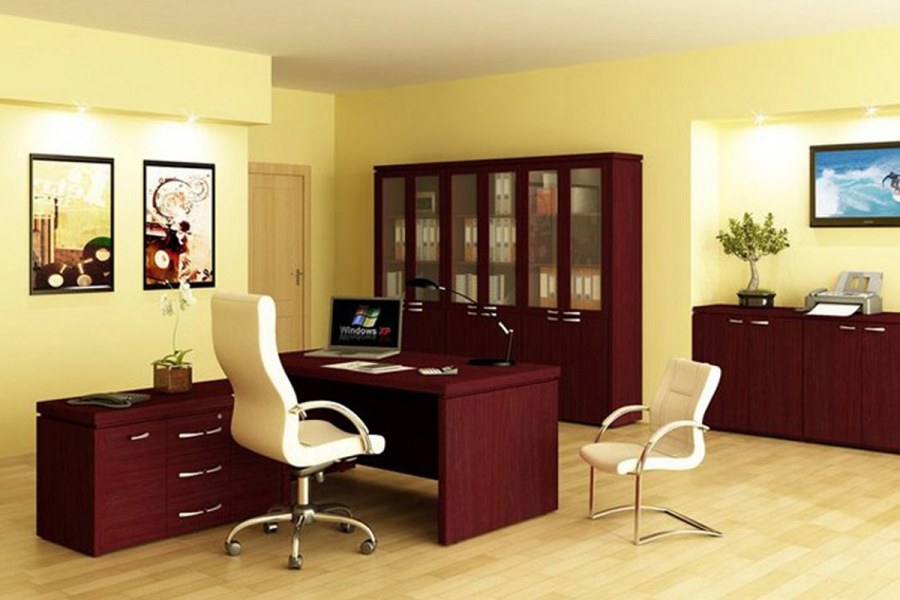 Цвет стен в кабинете