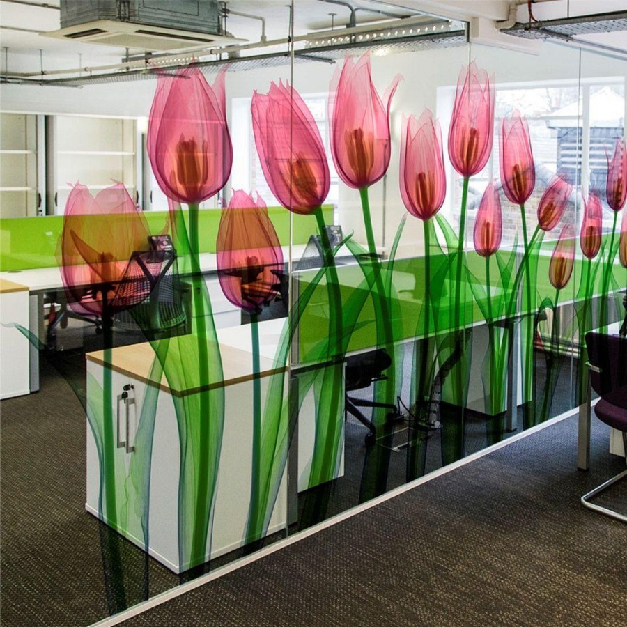Стеклянные перегородки с фотопечатью