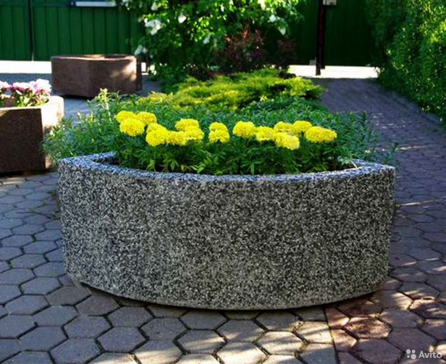Клумба в бетонном кольце