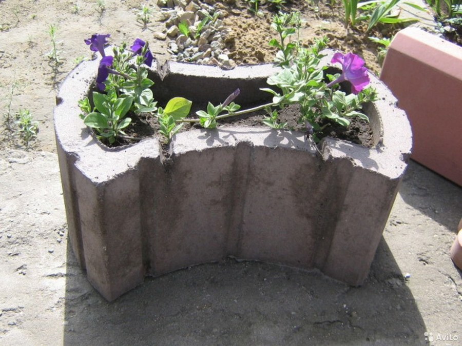 Клумба в бетонном кольце