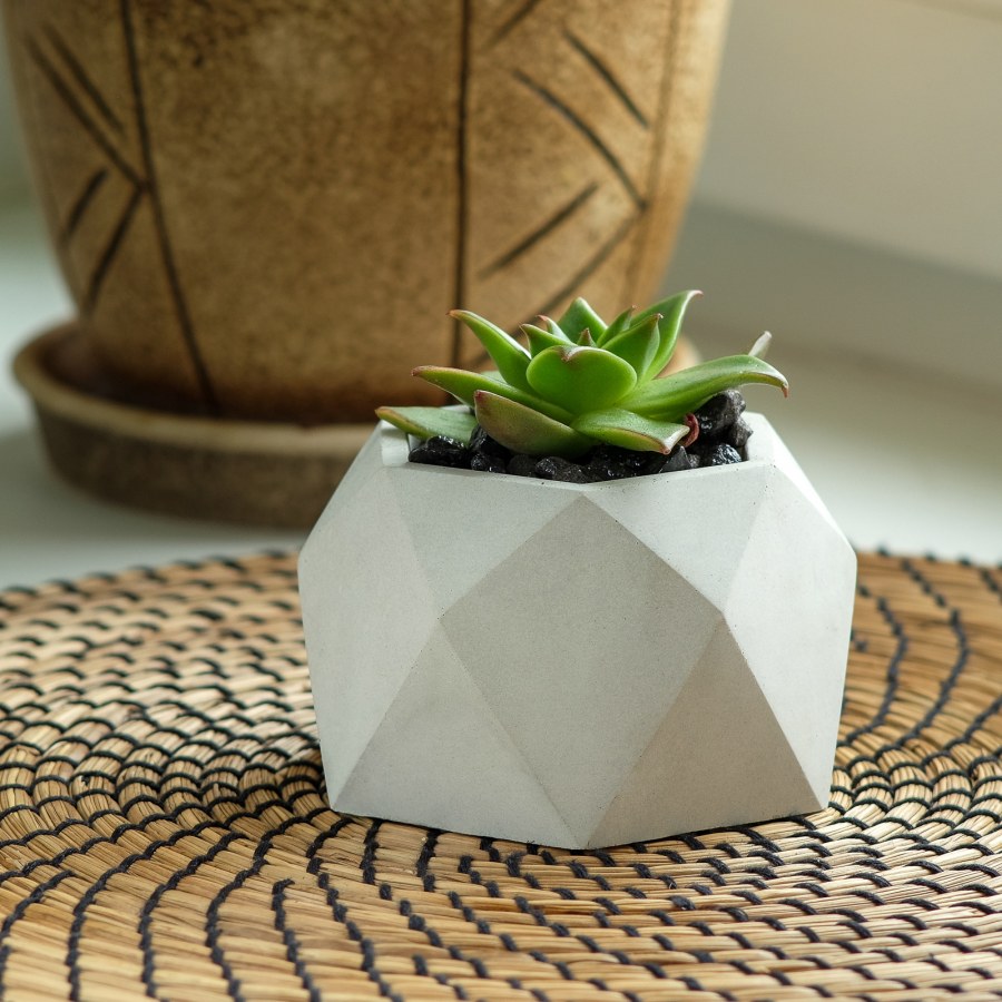 Необычные цветочные горшки