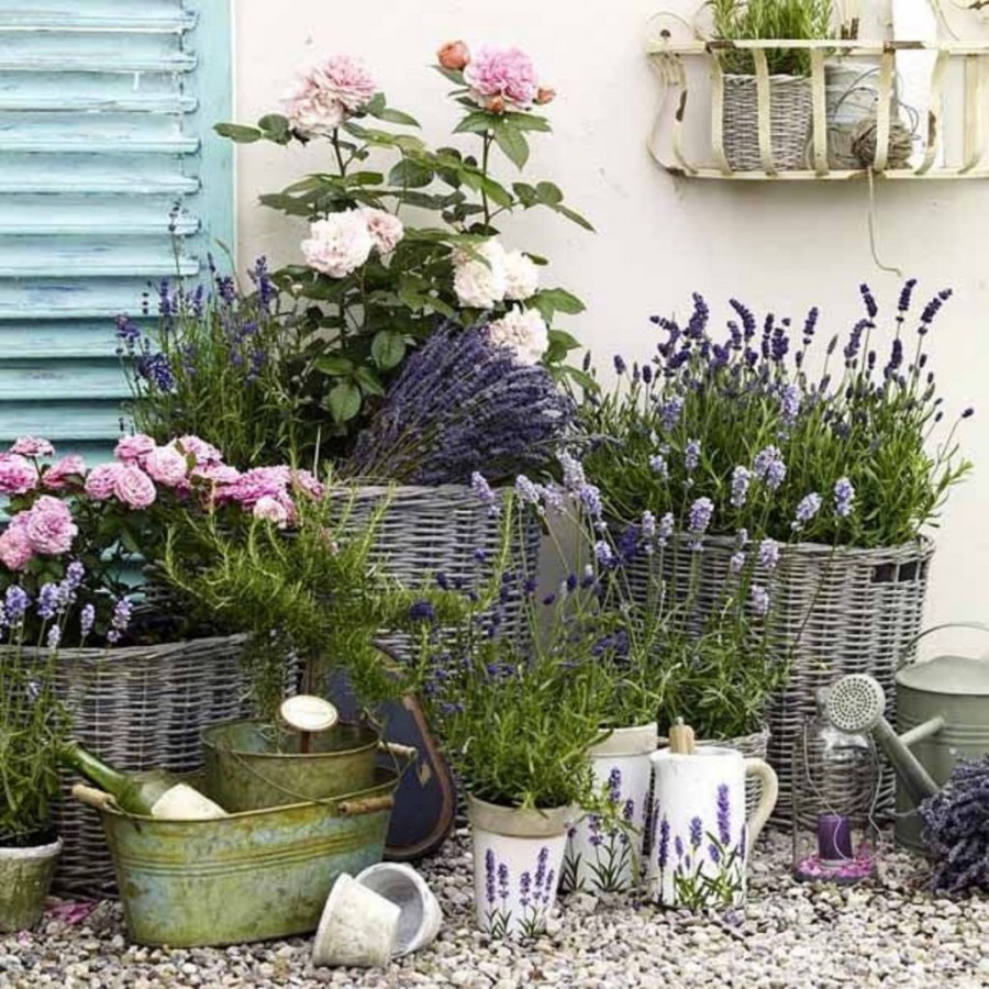 Клумба в стиле Прованс