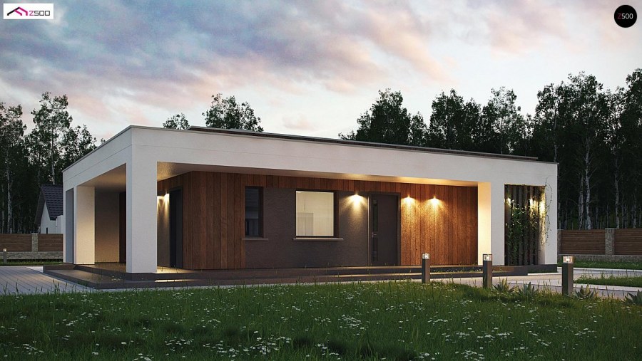 Одноэтажный дом Лесная Буча ул.Гоголя