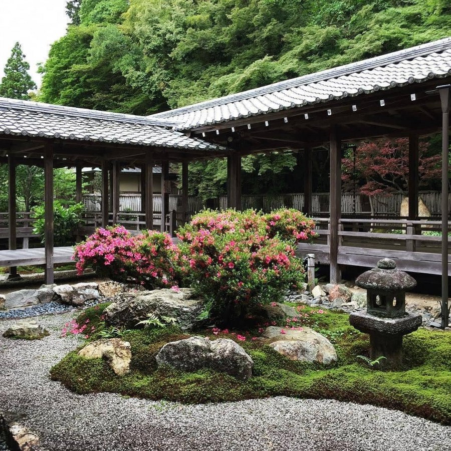 Дзэнские сады Япония