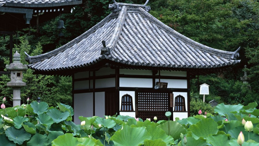 Национальное жилище Китая