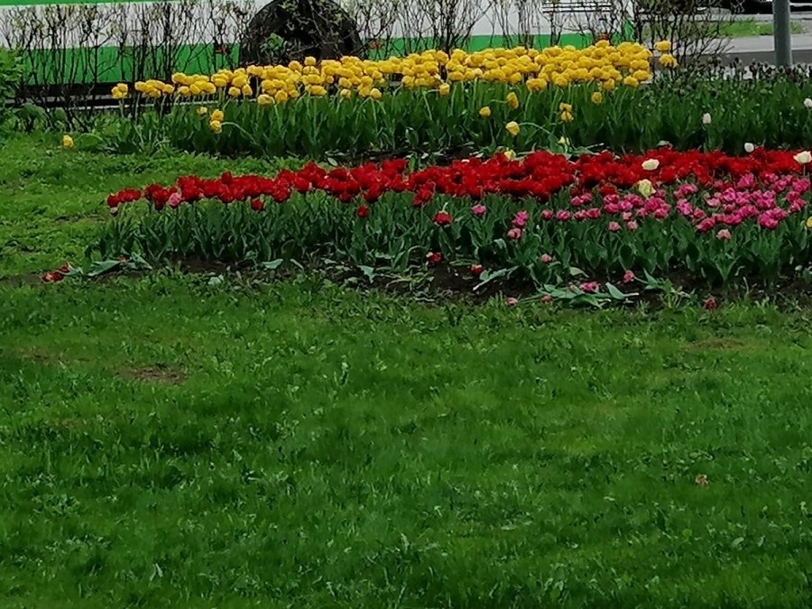 Болохово круглая клумба