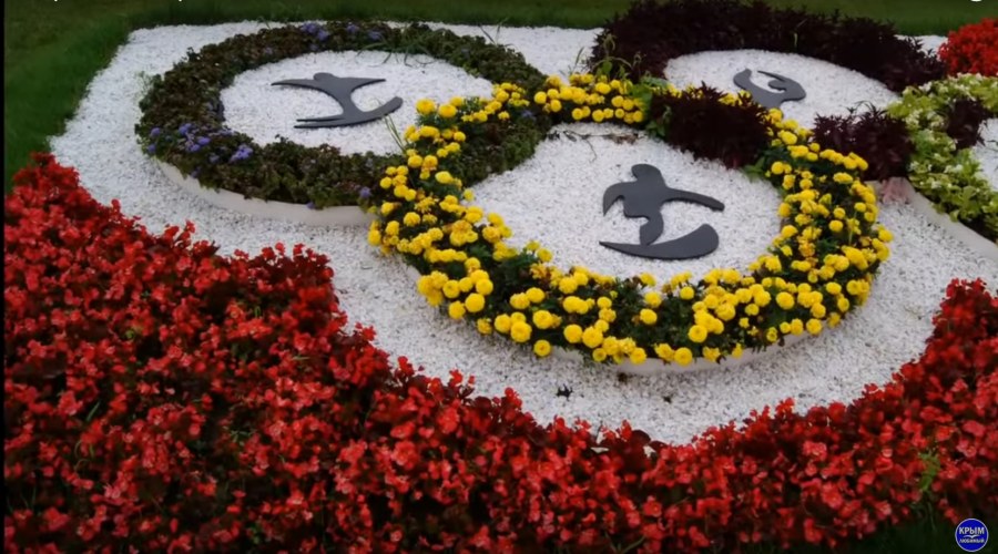 Клумба Олимпийские кольца