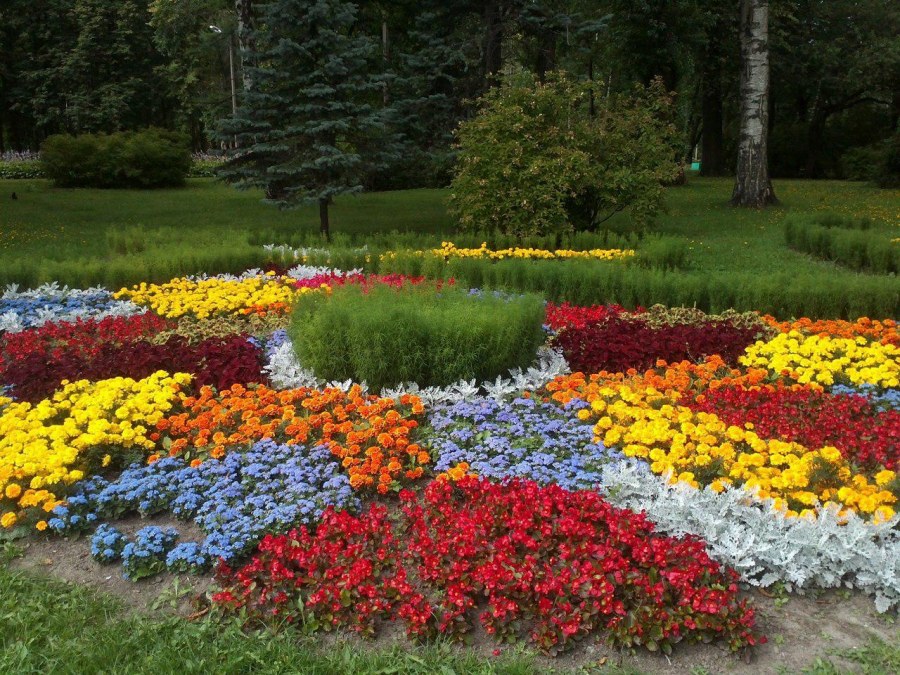 Круглая клумба с цветами