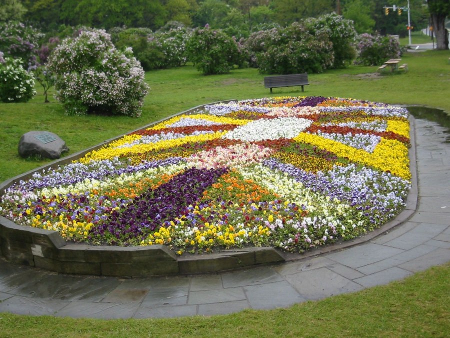 Дизайнерские цветники