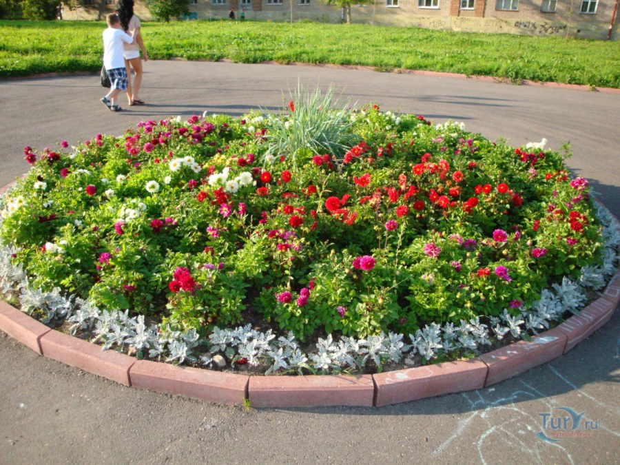 Клумбы ручейки из цветов