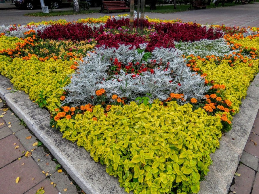 Большая круглая клумба с однолетниками