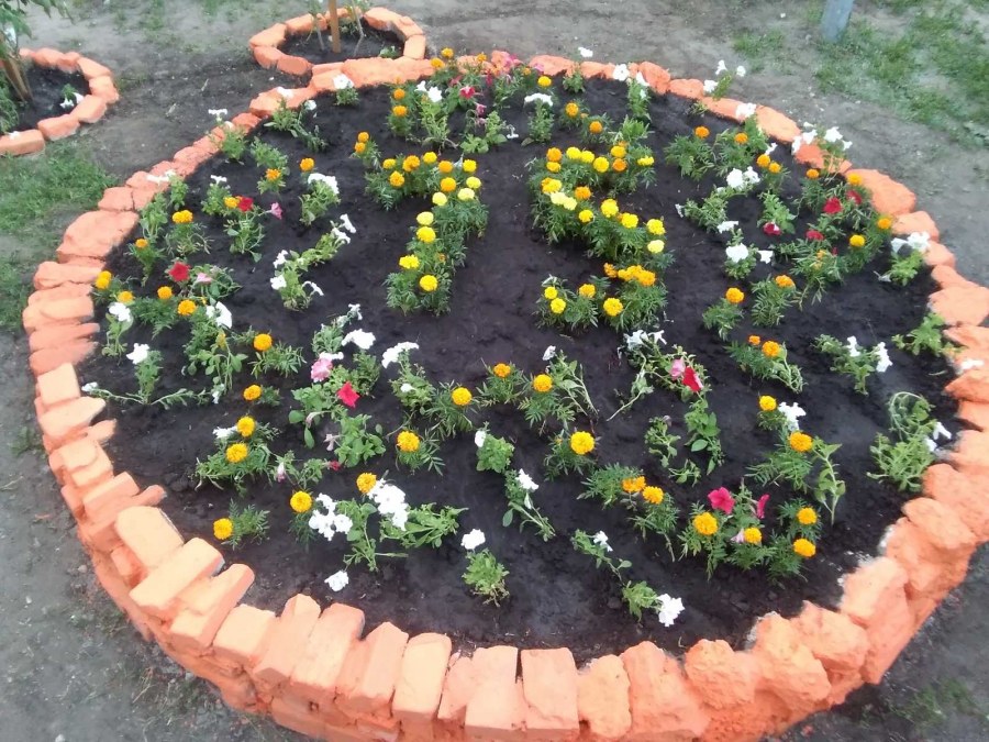 Круглая клумба Летник