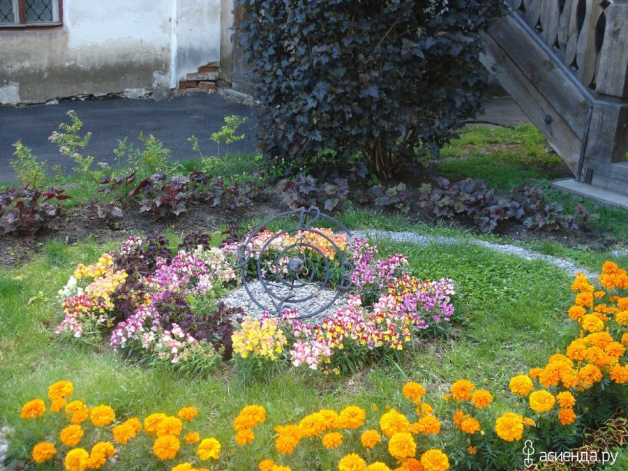 Цветник полумесяц