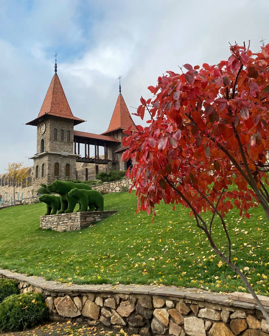 Питомник таможни Орлово