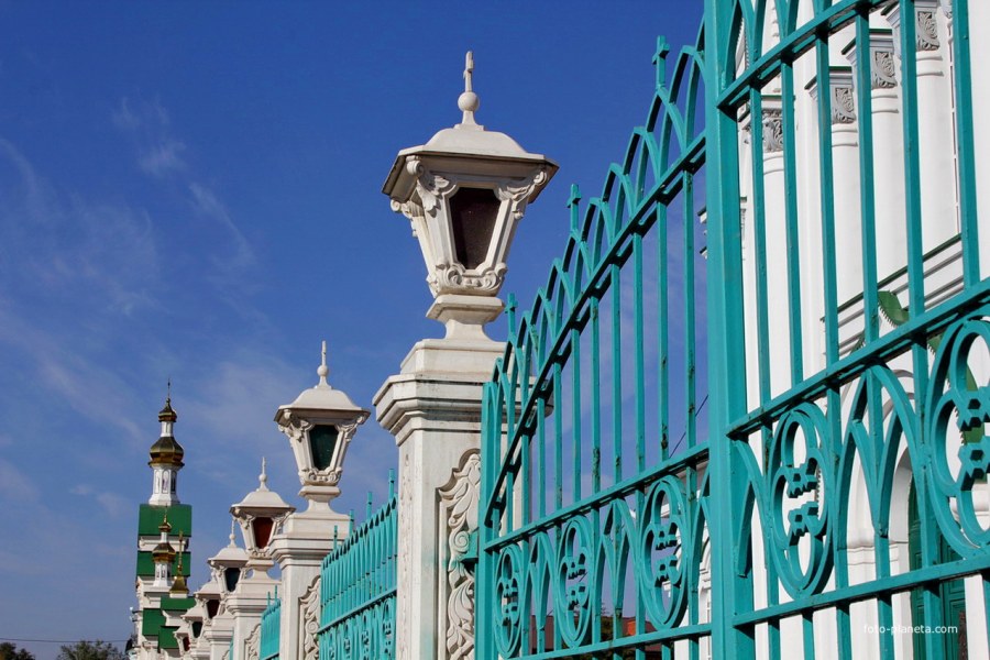 Зеленый корм для коров