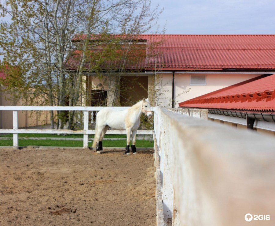 Подворье работник