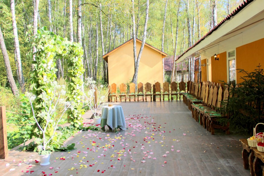 Пони пасутся на лугу