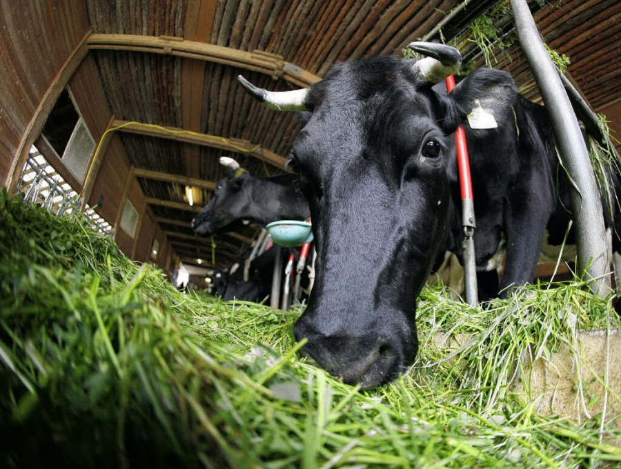 Подворье парк Ярославль