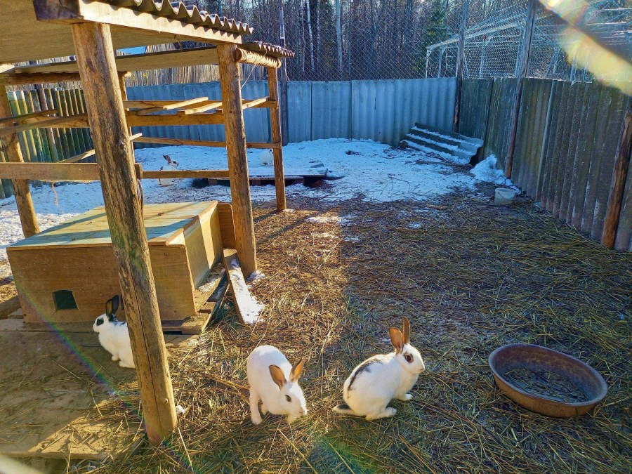 Крестьянское подворье Джемете