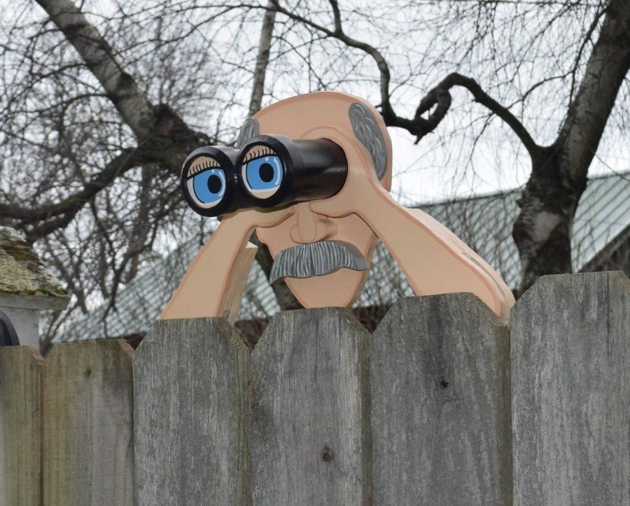 Лебедь своими руками для сада