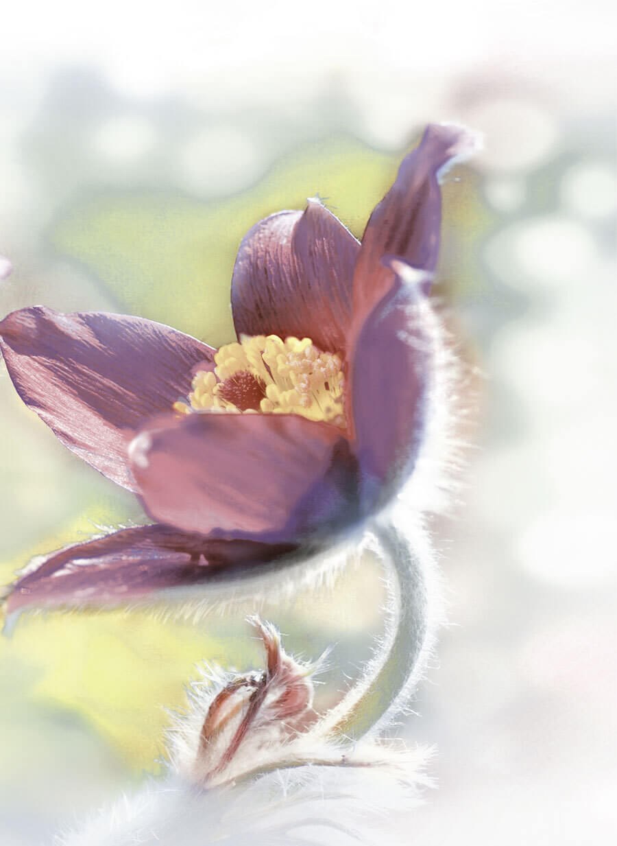 Плитка Alma Ceramica Lila