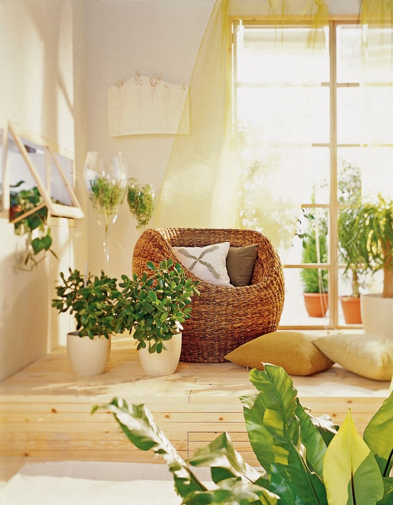 Интерьер в экостиле