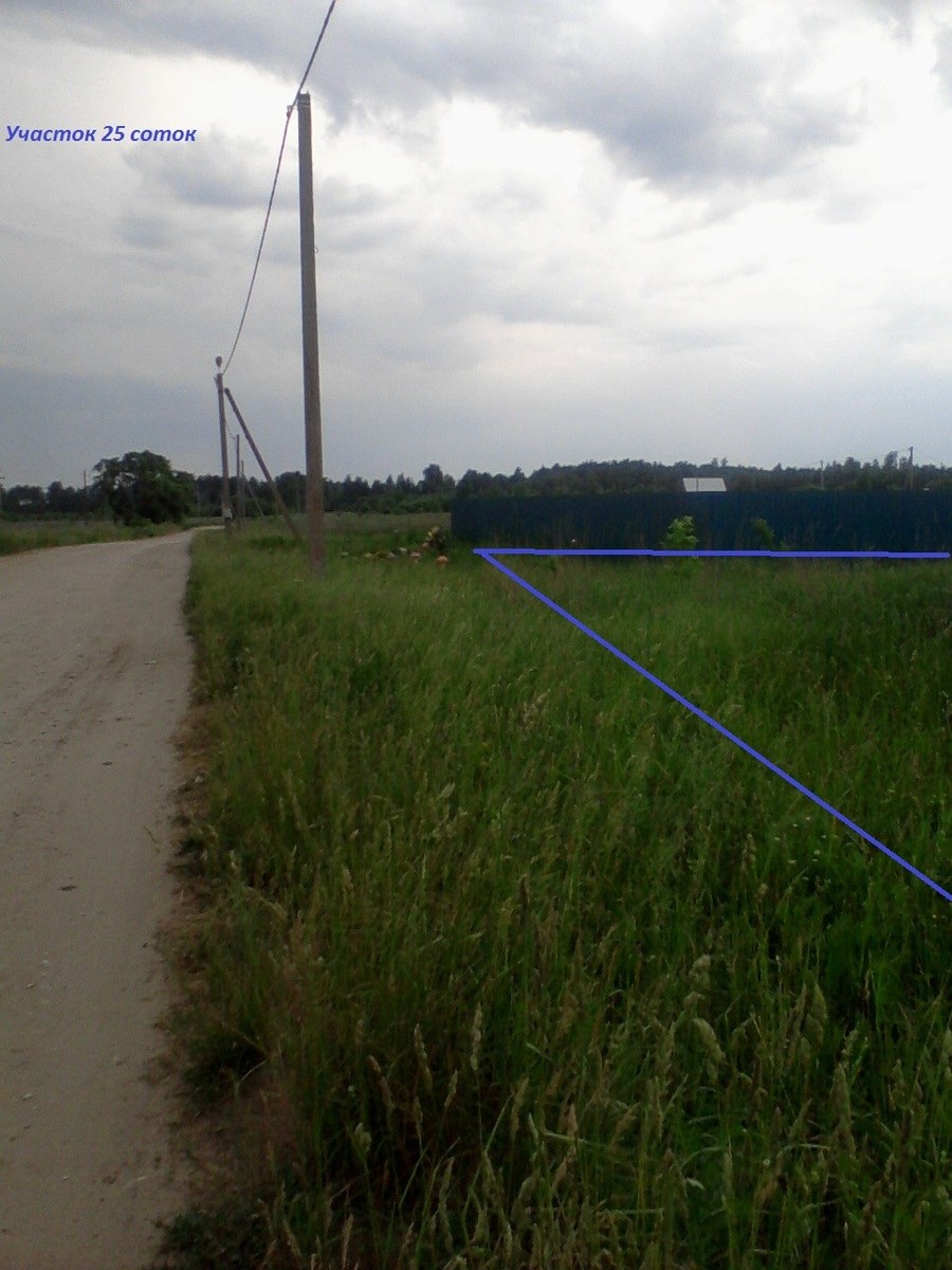 Починки Ступинский район