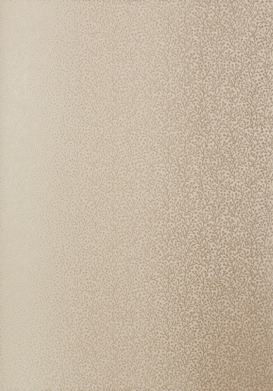 Цвет шампань краска для стен