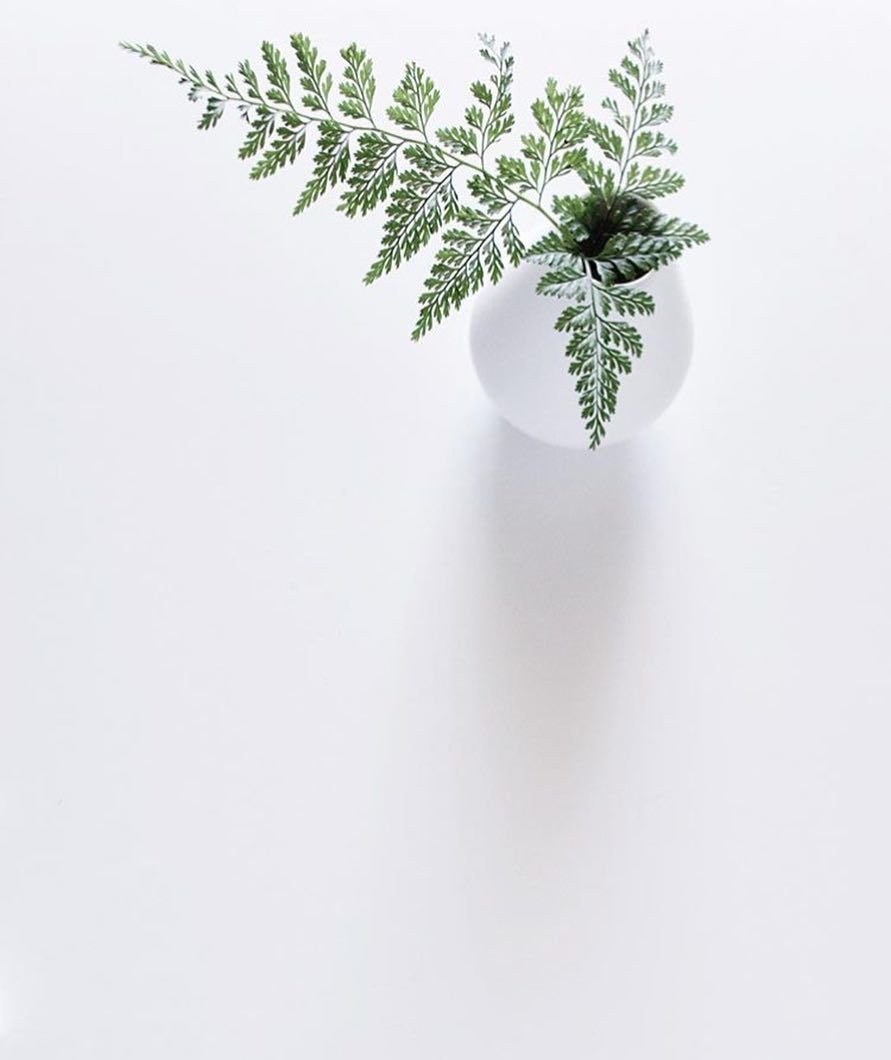 Минимализм в очках