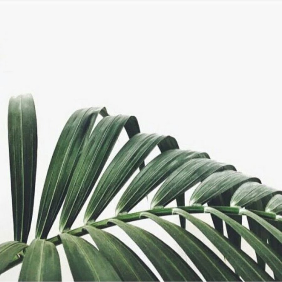 Фотообои Минимализм