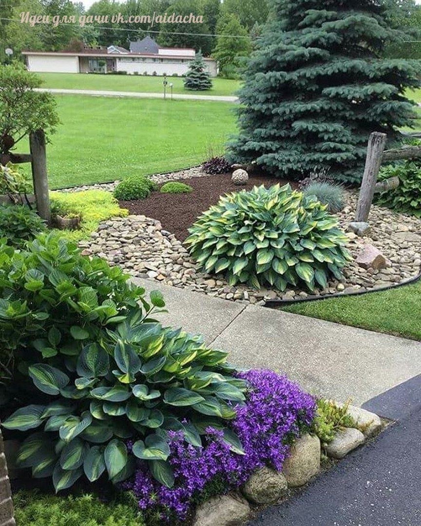 Хвойный рокарий миксбордер