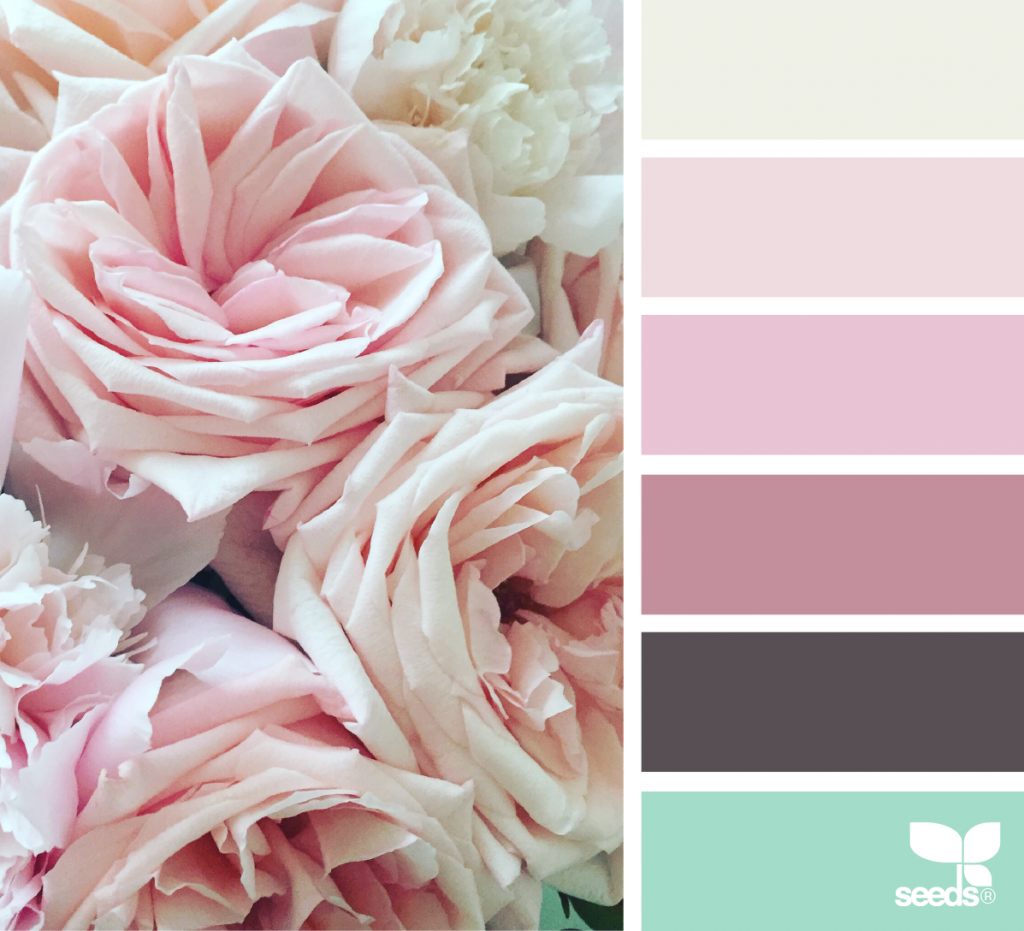 Сочетание цветов бело розовый. Пудровый цвет. Пастельные тона. Цветовые сочетания. Красивые сочетания цветов.