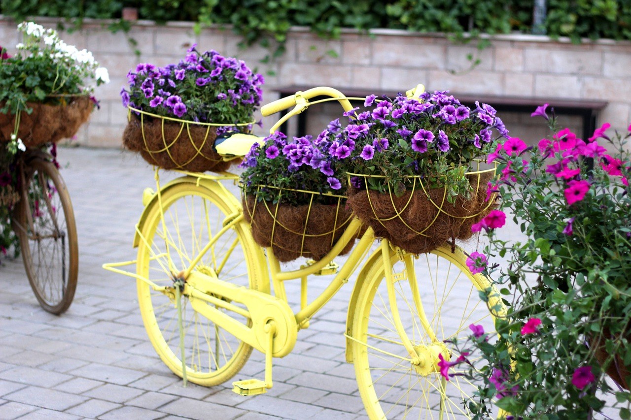 Садовые велосипеды