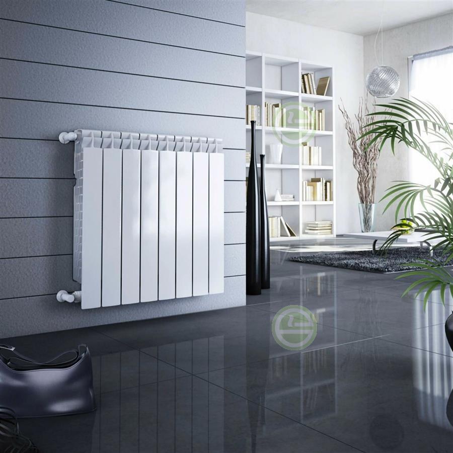 Радиатор Fondital Calidor Aleternum