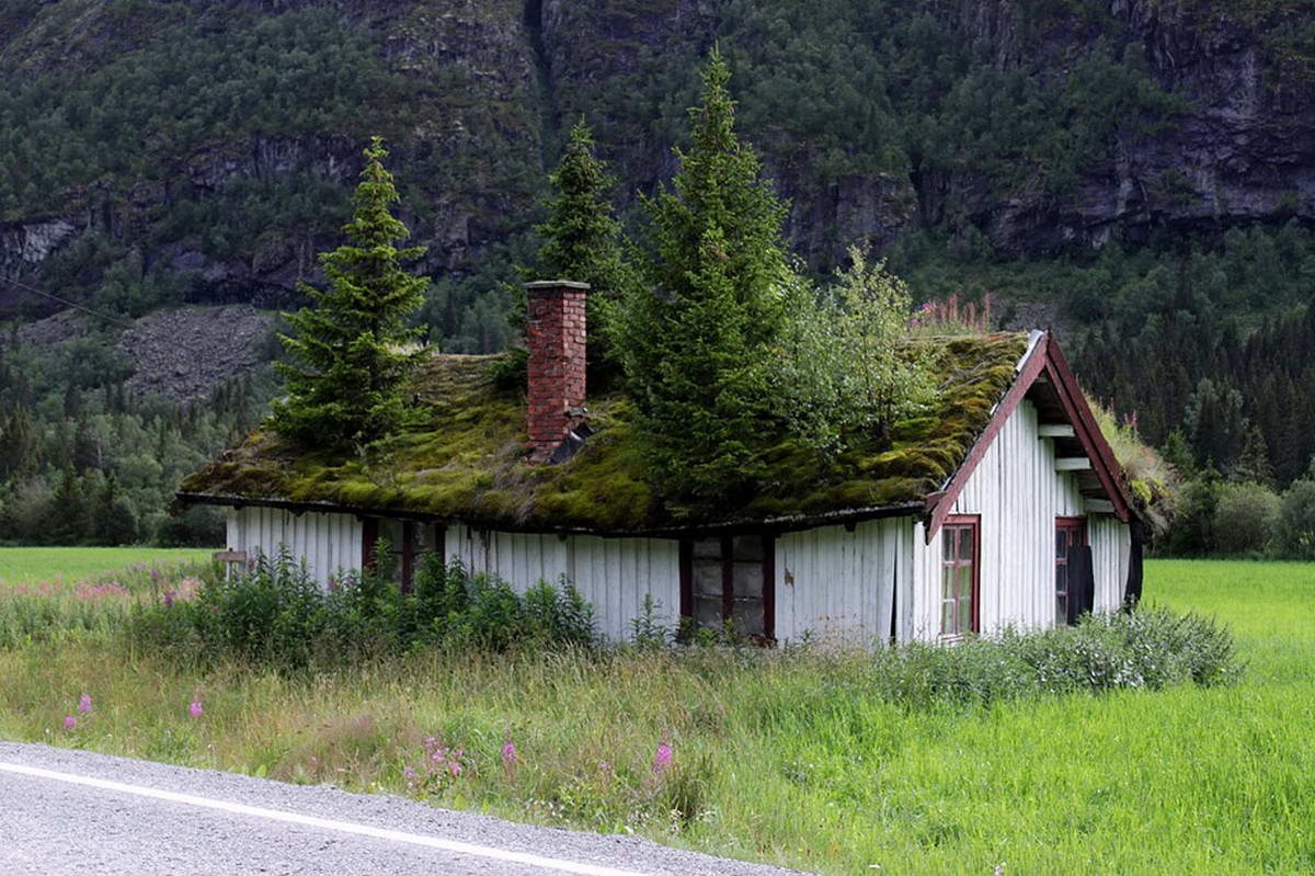 Домик в норвегии. Зеленая кровля в Норвегии. Зеленая кровля Скандинавия. Хитте дом в Норвегии. Зеленые крыши в Норвегии.