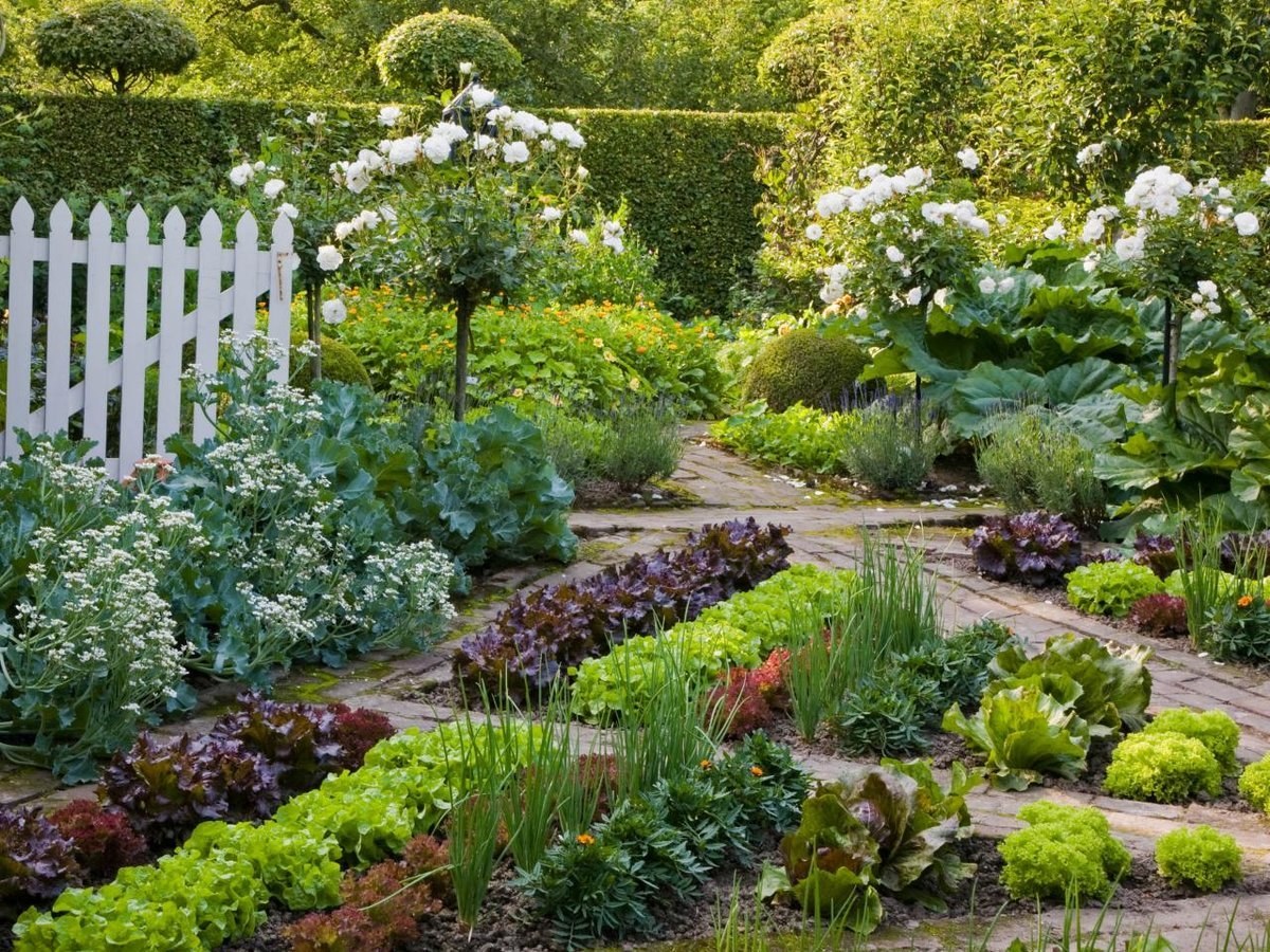 дизайн сада и огорода своими руками с кустарниками фото