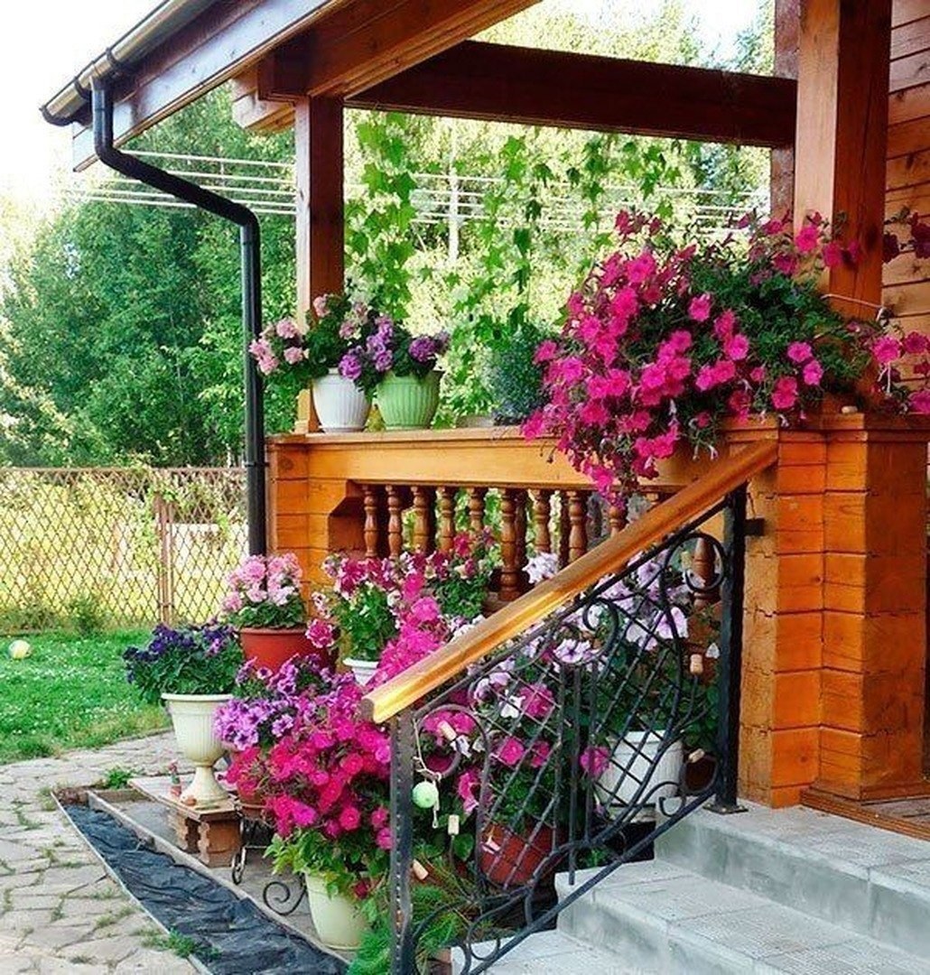 Красивые цветы возле дома. Веранда с цветами. Красивая дача. Украсить веранду цветами.