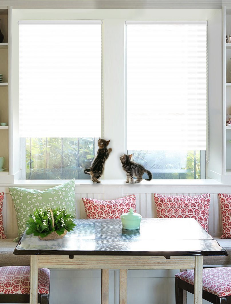 Рулонные шторы Эскар Райли