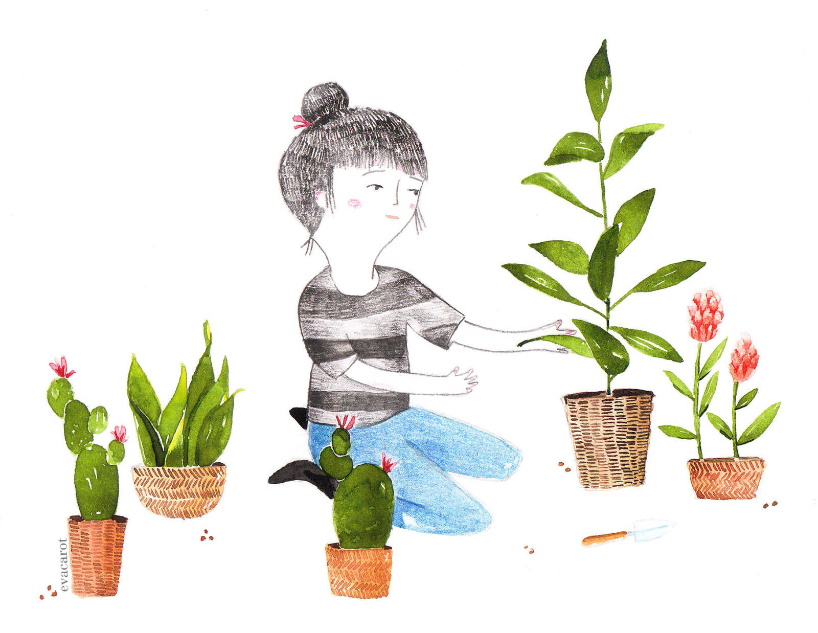 Комнатные растения иллюстрации. Комнатное растение рисунок. Комнатные растения для дошкольников. Иллюстрации комнатных растений для детей. Рисование комнатных цветов