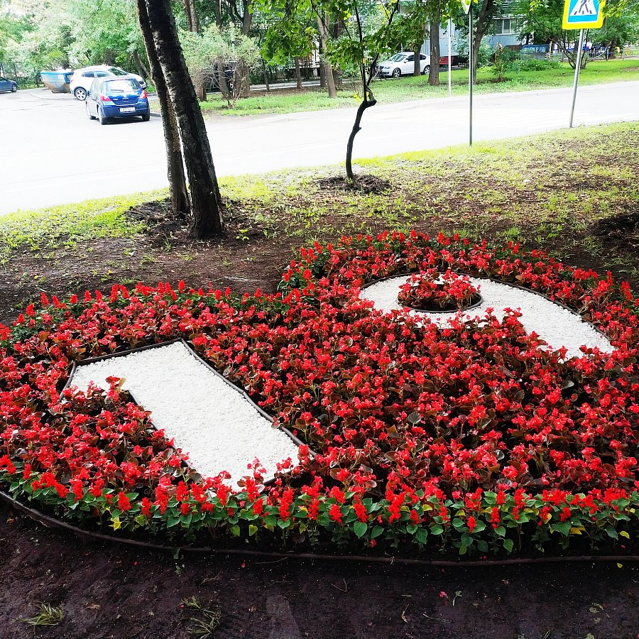 75 Лет Победы цветник Ставрополь