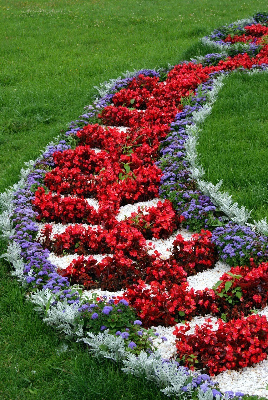 Клумбы в регулярном стиле из однолетников